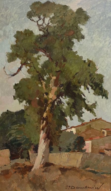 Carlo Domenici — L'albero secolare